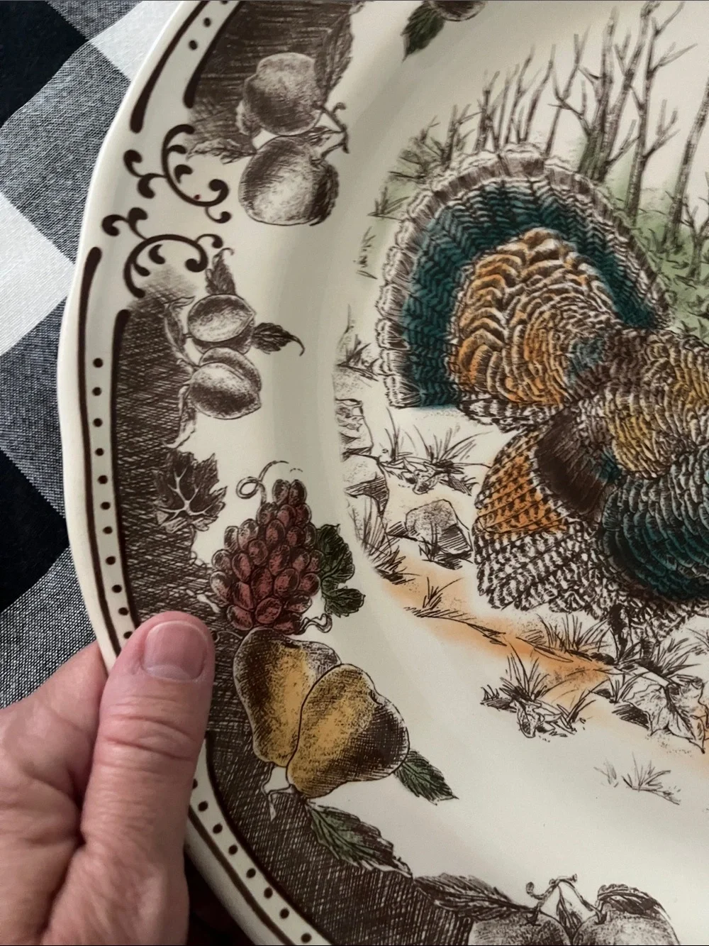 Decorative Thanksgiving Turkey Motif Ceramic Serving Plate - Cream and Brown
